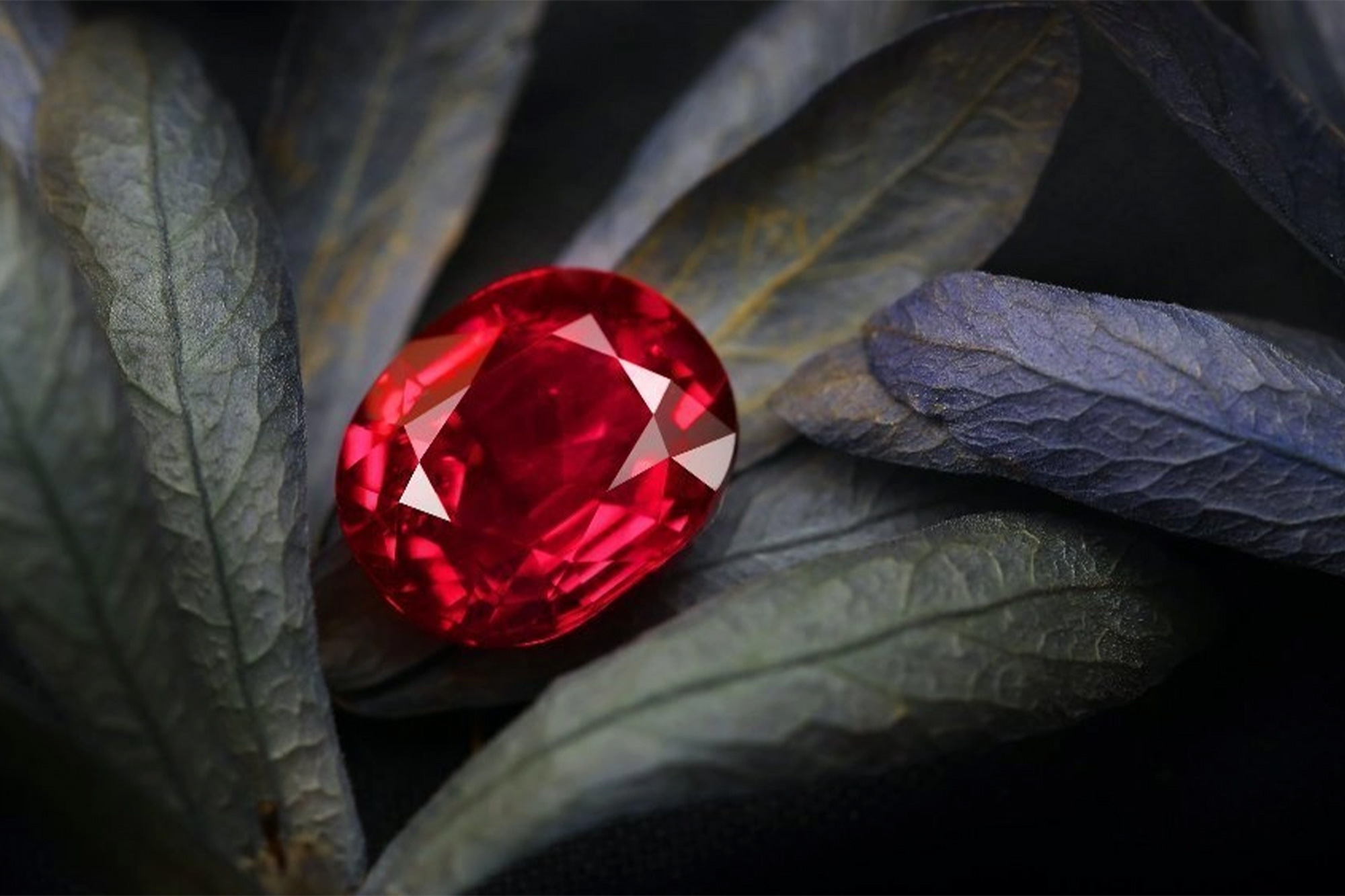 rubin, ruby, edelsteine, gemstones, korund, juwelen, rubinschmuck, rubinring, juwelen, juwelier, goldschmiede, sahak, jewellery, limmatquai, zurich